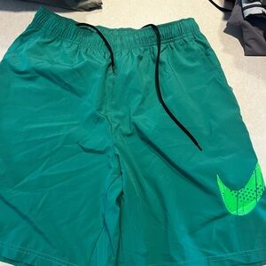 Nike Dri-FIT Teal Shorts